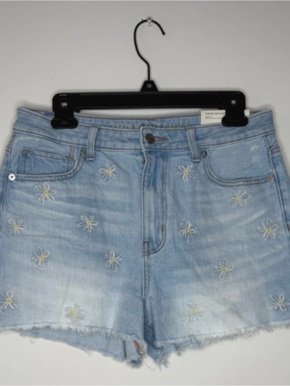 American Eagle Outfitters Light Blue Daisy Embroidered Denim Shorts